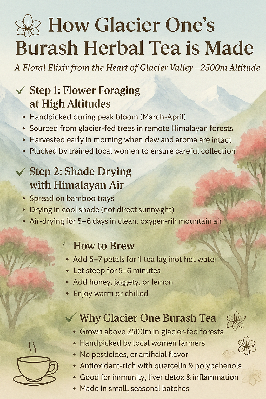 Glacier One Nettle Infusion Tea(Refreshing & Caffeine free herbal infusion )